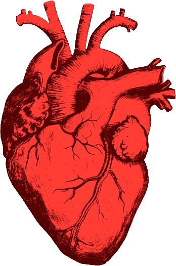 Heart icon representing heart-hungry demons in the story